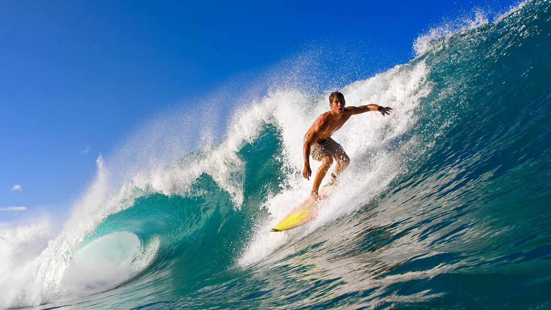 瑞典战队 NiP 宣布更换阵容，迎接新挑战，瑞典队最新大名单